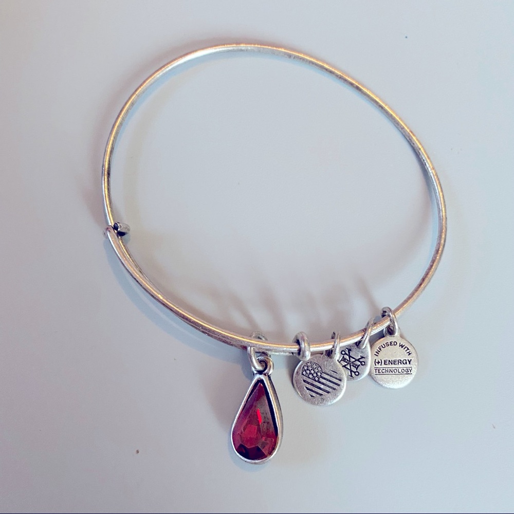 Alex & Ani Dangle Charm Bracelet